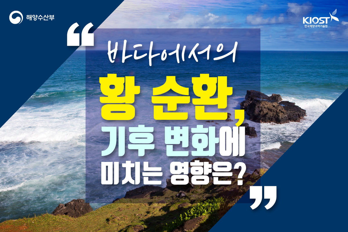 
						바다의 황 순환, 기후 변화에 미치는 영향은?
						
						