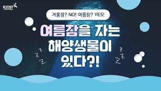 
						여름잠을 자는 해양생물이 있다고요?!
						
						