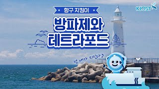 
						항구 지킴이! 방파제와 테트라포드
						
						